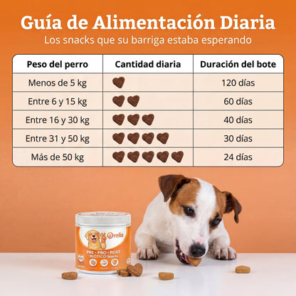 120 snacks triple-bióticas para el intestino, sistema inmunitario y digestión