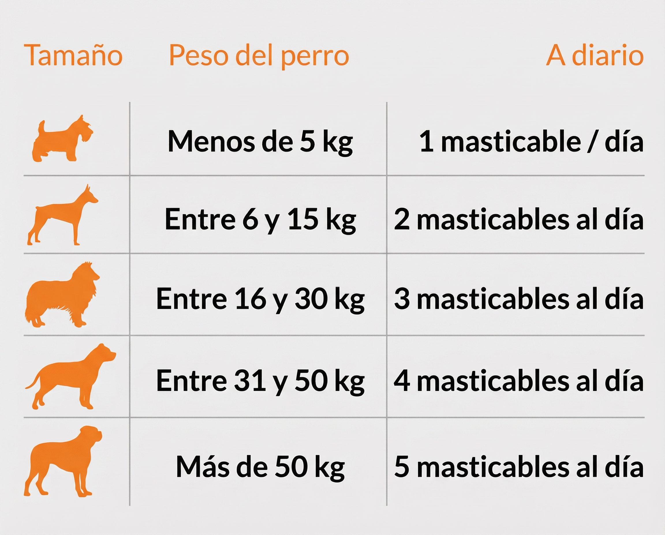 Guía de alimentación